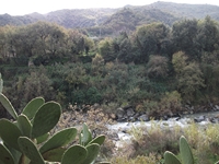 cantara gurne23122011 120